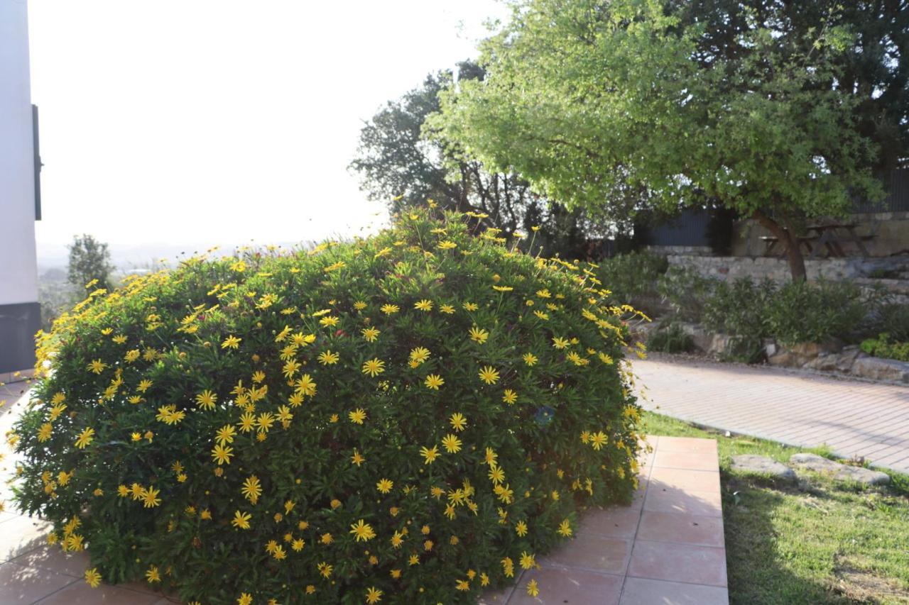 Casa Do Horizonte Apartment บอมบาร์ฮัล ภายนอก รูปภาพ
